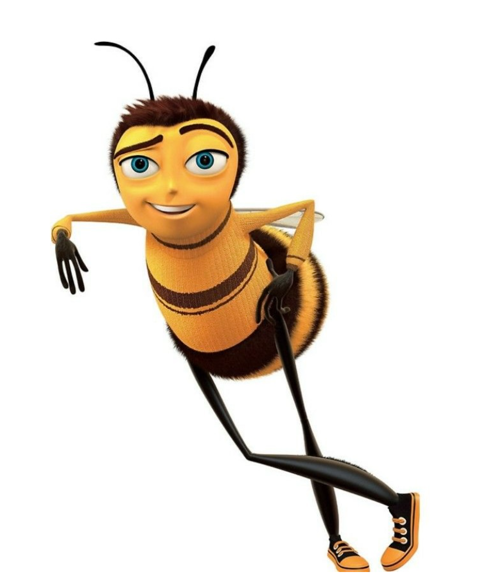 Barry Bee